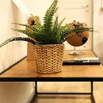 Goose Cozy Flat At Groundfloor Appartamento