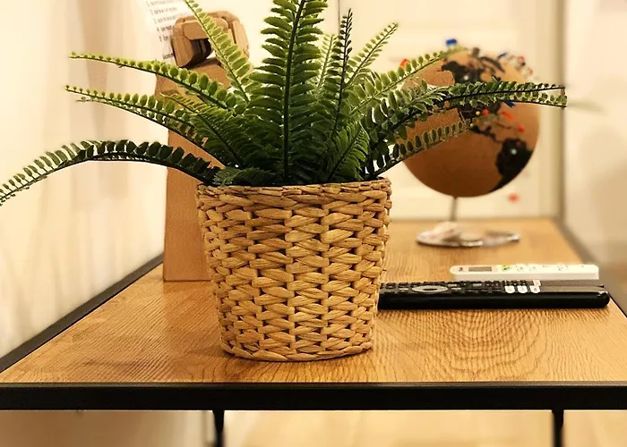 Goose Cozy Flat At Groundfloor Appartamento